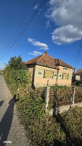 CASĂ DE VANZARE IN VIILE SATU MARE - TEREN 3.000 MP