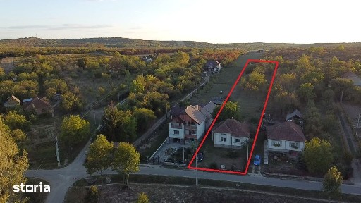 Viile Satu Mare, Satu Mare
