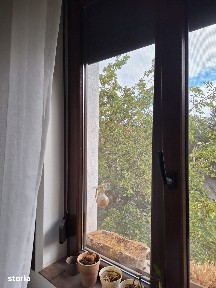 Strada Medicinei, Cetate, Timisoara, Timis