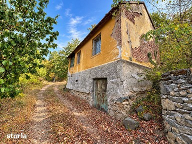 Casa Paulis de vanzare