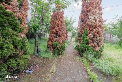 Strada Orhideelor, Gradistea, Ilfov