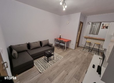 Apartament 1 camera Gara Nicolina, 22 metri, parter Cod:163521