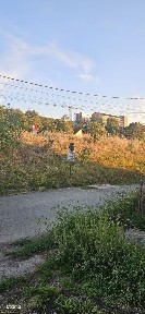 Sangeorgiu De Mures, Mures