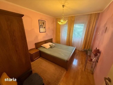 Subcentral, Satu Mare