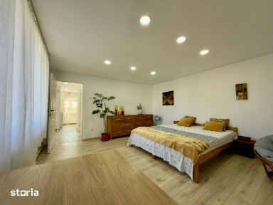 Oportunitate unica de investitie in zona centrala (Victor Babes)