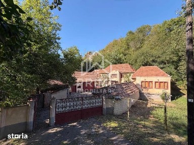 Casa 180 mp + anexe si dependinte pe teren de 2000 mp - Geoagiu de Sus