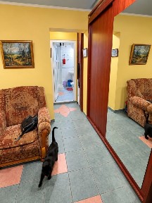 Apartament In Aviatiei. strada Borsa. COMISION 0%