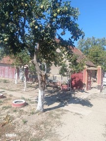 Vând casa sat Somosches comuna cermei jud Arad