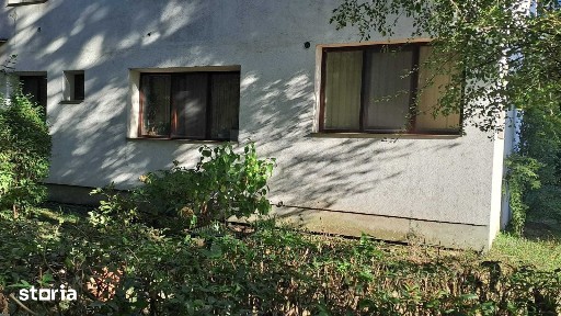 Dambul Pietros, Targu Mures, Mures