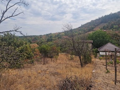 Casă de Vacanță cu Teren Generos 2.755 mp | Dealul Viilor, Ineu (Arad) - Intravilan, Panoramă Deosebită