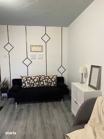 Apartament o camera Cantemir, Salca
