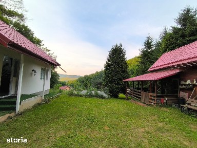 casa si cabana de vanzare Capus Gilau