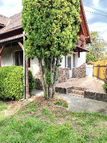 Mures, Targu-Mures