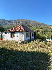 vand casa cu gradina