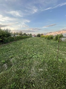 Casa cu teren 2500mp intravilan dupa Berceni