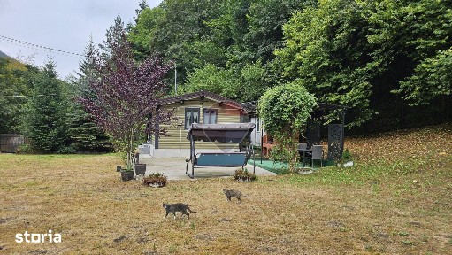 Căsuță de vacanță de vânzare - comuna Alexandru cel Bun, Neamț