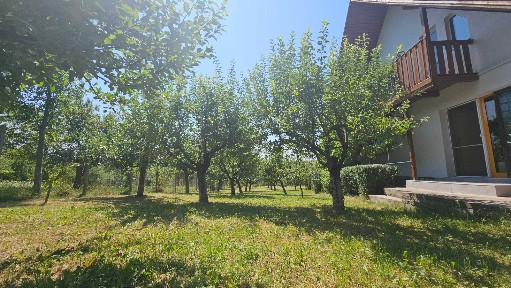 Vand Casa/Cabana de Vacanta