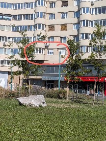 Timis, Timisoara