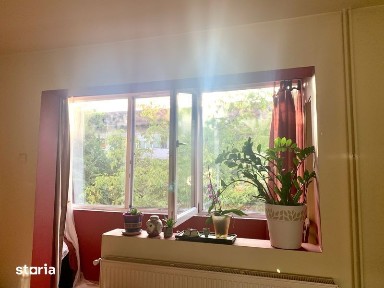 Cetate, Timisoara, Timis