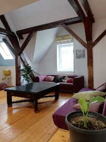 Închiriez apartament 4 camere 3 dormitoare, Pet Friendly, strada Bul Victor Babeș