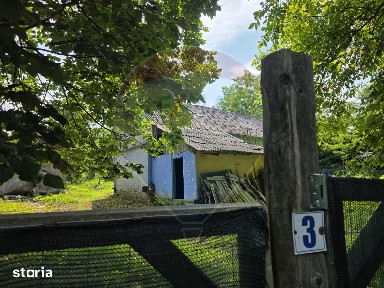 Teren intravilan mare cu casa veche In Buciumi langa Onesti