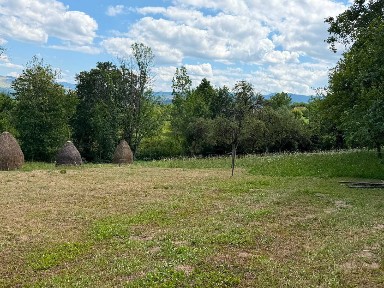 Vand sau schimb cu apartament -Teren +Casă tradițională din lemn + anexă, teren 58 ari, în Breb - zonă retrasă, ideală pentru relaxare sau investiție