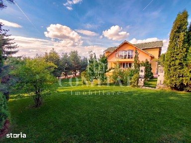 Vilă în Făget | Sediu companie | 2.412 mp teren 8 parcări