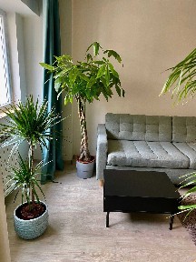 Inchiriem apartament 2 camere Universitate
