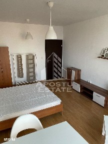 Lunei, Timisoara, Timis