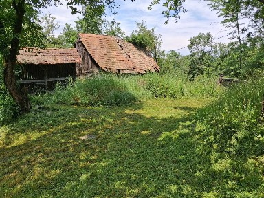 Casă la țară, curte/grădină 3450 m2 intravilan PREȚ NOU