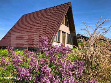 Casa vacanta superba, zona Tomesti