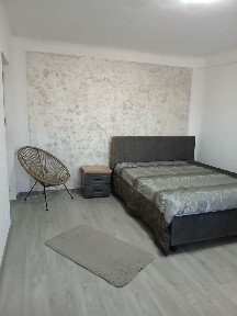 Proprietar, Inchiriez garsoniera Rovine, Helmat