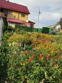 cabana Parâng, zona Rusu
