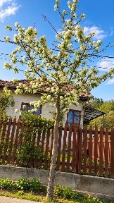 Casa de Vanzare Sat Agârbiciu Com. Capusu Mare