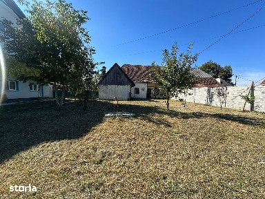 Tractorul, Brasov