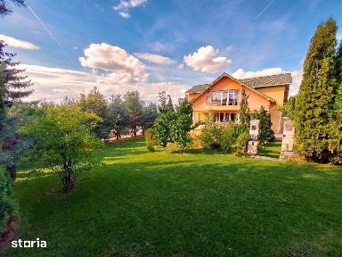 Vila în Faget | Teren 2.412 mp| Sauna, Jacuzzi & Graadinaa superba