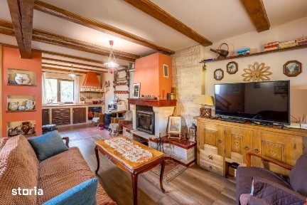 Casa individuala + 1000 mp teren - Salicea