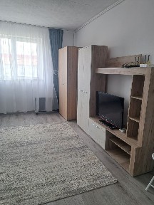 Garsoniera zona vasile aaron 245 euro