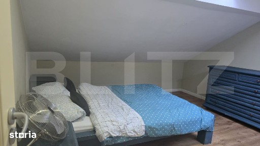 Ady Endre, Cauas, Satu Mare