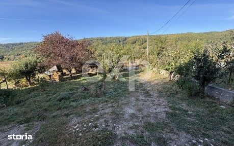 Cabana De Vanzare- Teren 2.500mp- Micesti 15 min de Pitesti