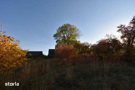 Savadisla, Cluj