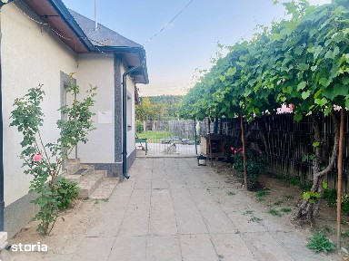 Central, Pitesti, Arges