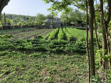 Vand sau schimb casa ultracentral 150 mp si teren 2166 mp in localitatea Bestepe Tulcea