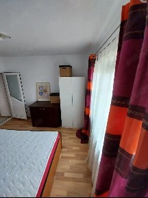 Timis, Timisoara