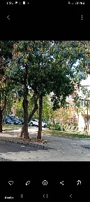 Apartament 4 camere deosebit