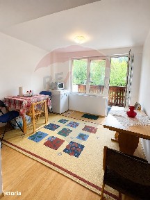 Afacere sau relaxare - studio cochet în Poiana Brașov