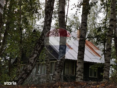 Teren de 900 mp cu cabană rustică, într-o zonă liniștită