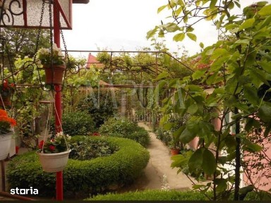 Casa 3 camere de vanzare in Centru Oradea, Oradea