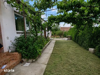 Vinga, Arad