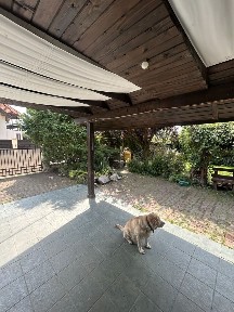 Casa 150mp 500 mp teren Targu Mures (pret de apartament cu 4 camere!)